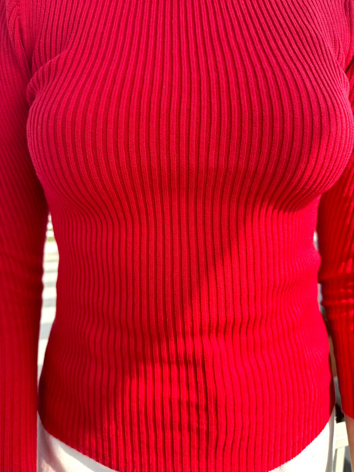 Red Fitted Ribbed Turtleneck (Free Size)