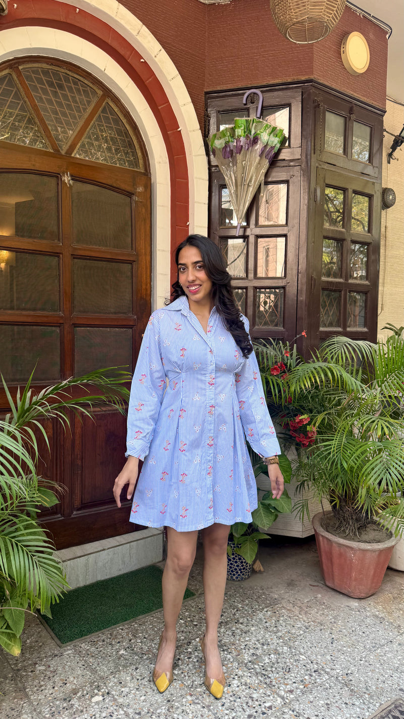 Snatch Your Waist Cotton Shirt Dress – Regular (Premium Collection)