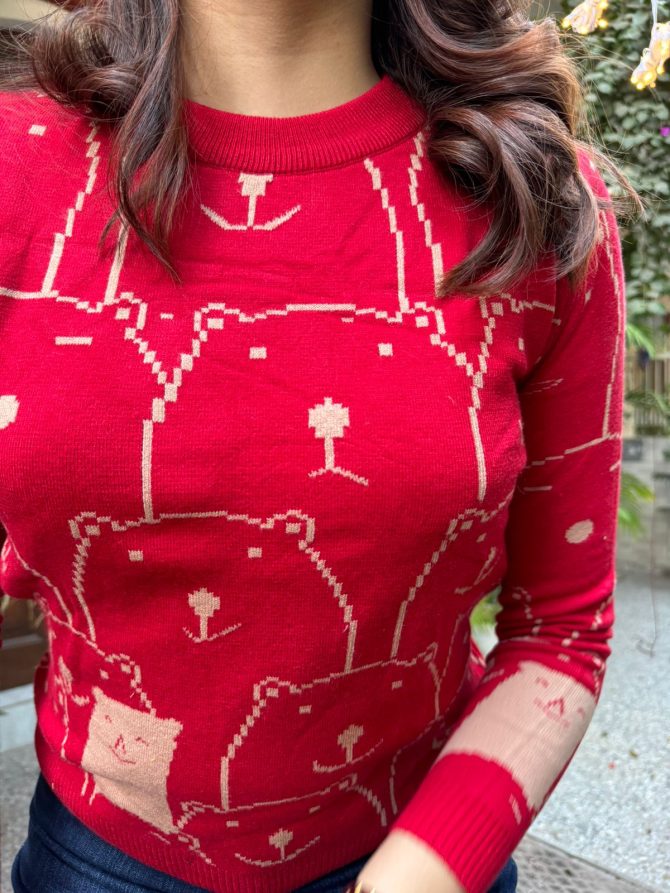 Bear Necessity Sweater (Reversible) (Free Size)-Red