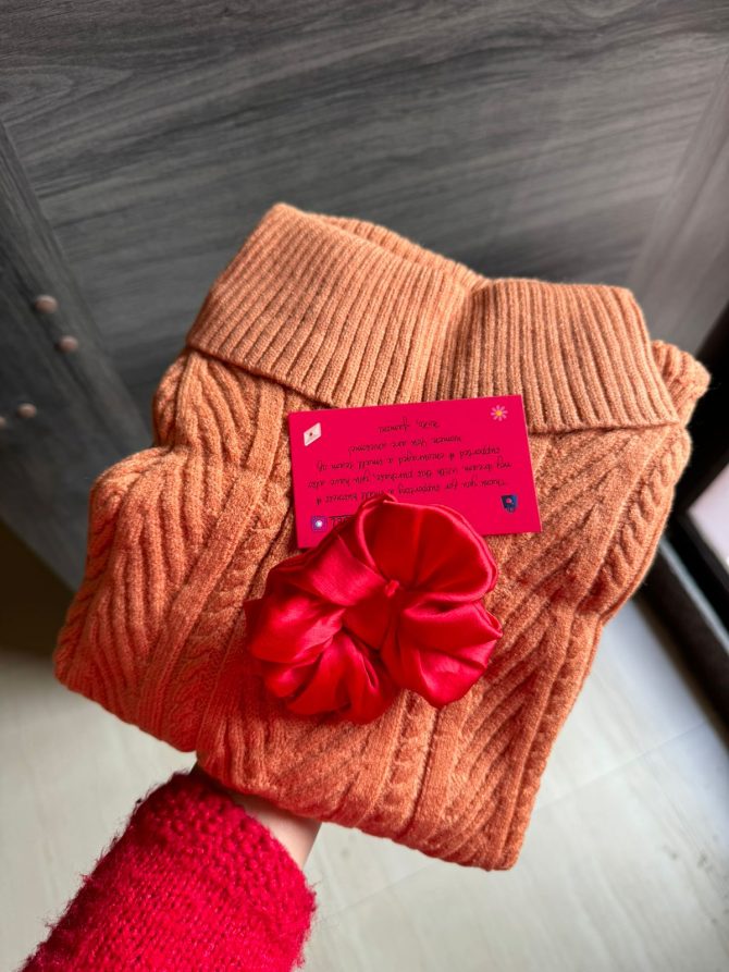 Brown Knit Turtleneck (Free Size)